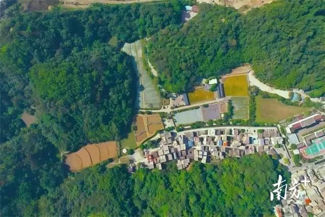 ���������գ�����������������ɽ������������������������