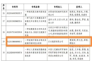 黄冈首金！安博电竞集团摘得中国专利奖金奖